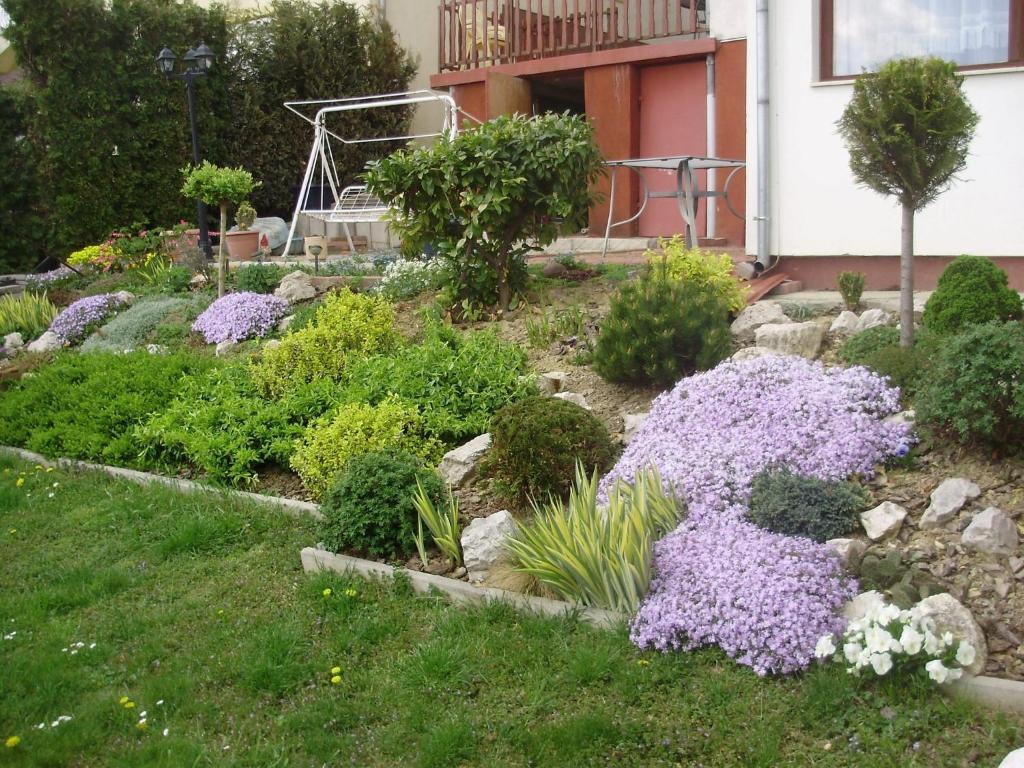 Apartman Berki Hévíz Стая снимка